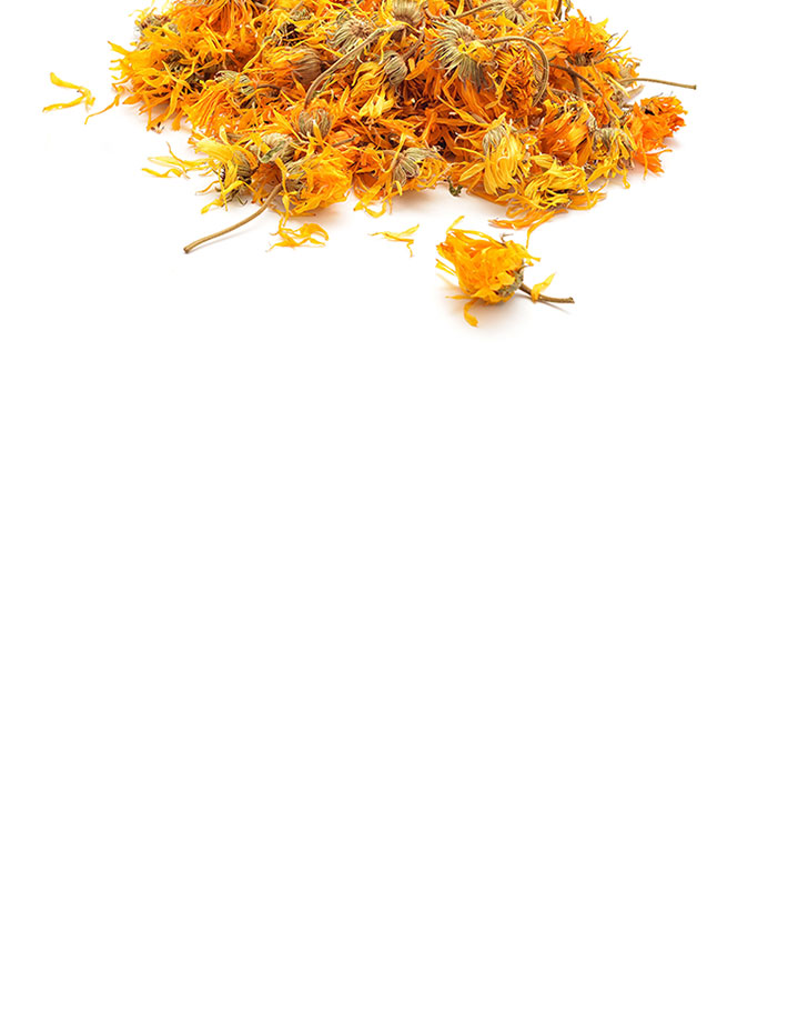 4,4 % Měsíček v Polysanu®